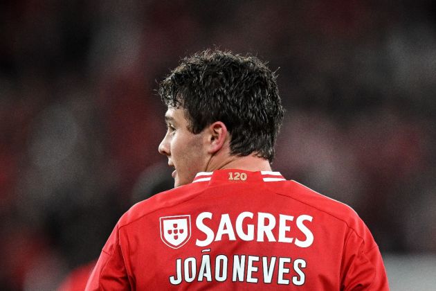 Is a Benfica prodigy the ideal player for Manchester City's midfield?