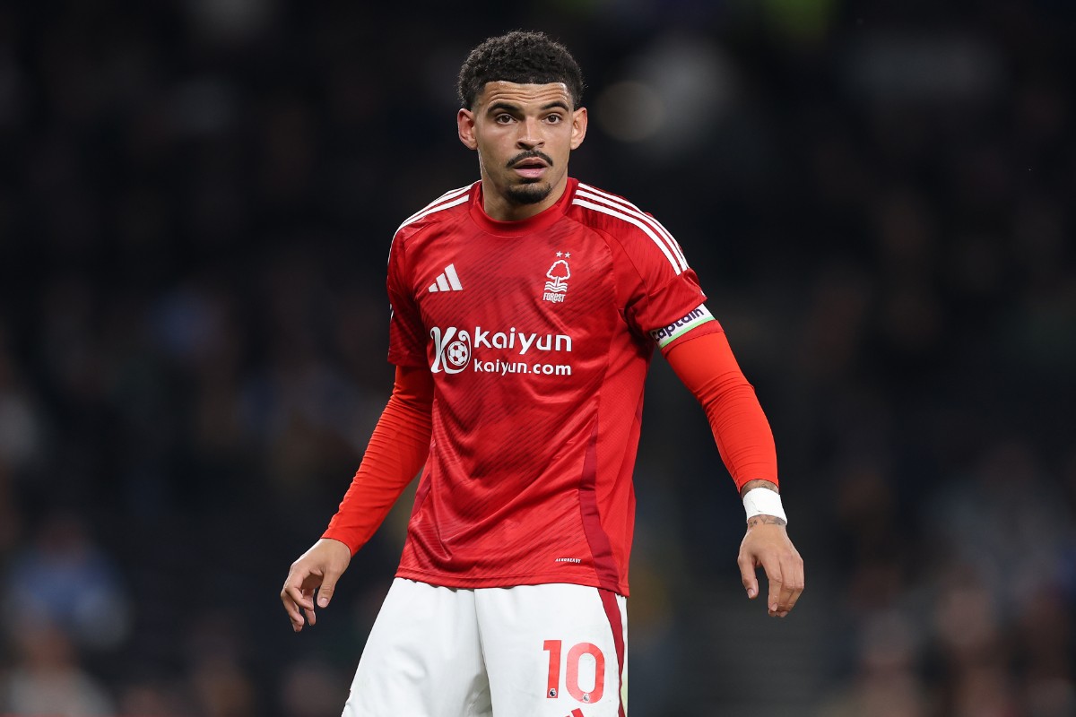 Morgan Gibbs-White would be a fine addition to the Manchester City midfield.